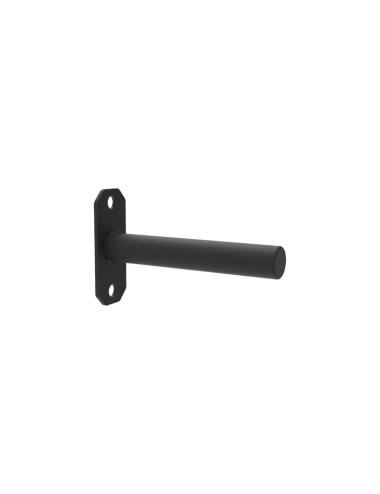 Weight peg Raptor