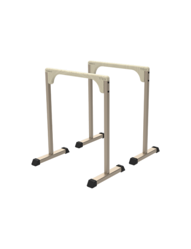 Parallettes 900