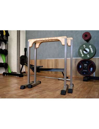 Parallettes 900