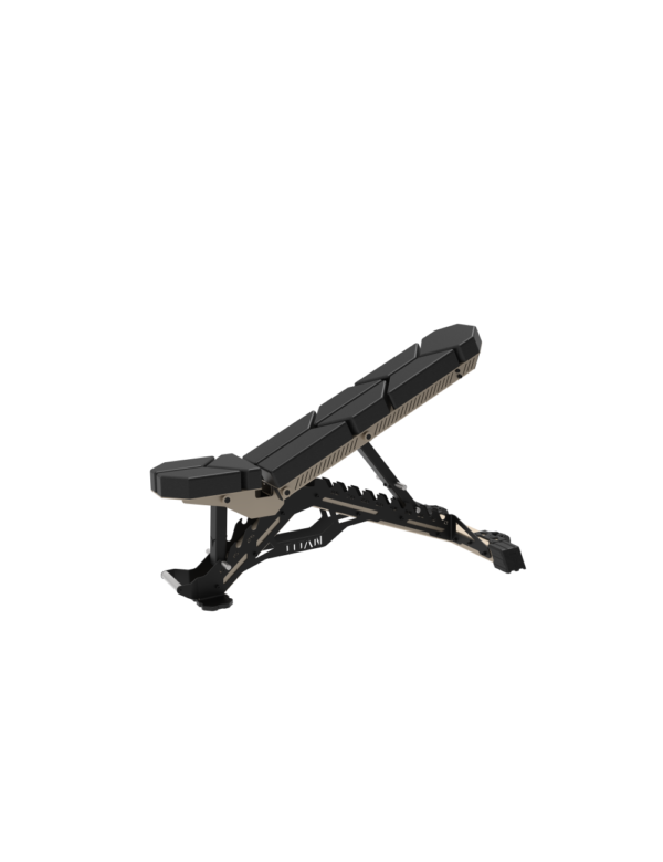 Adjustable bench PRO V3 Raptor
