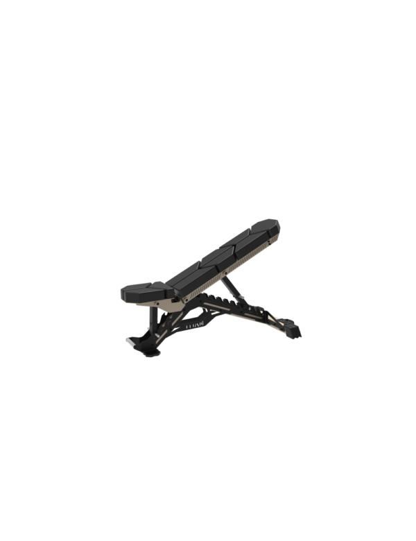 Adjustable Bench RAPTOR PRO