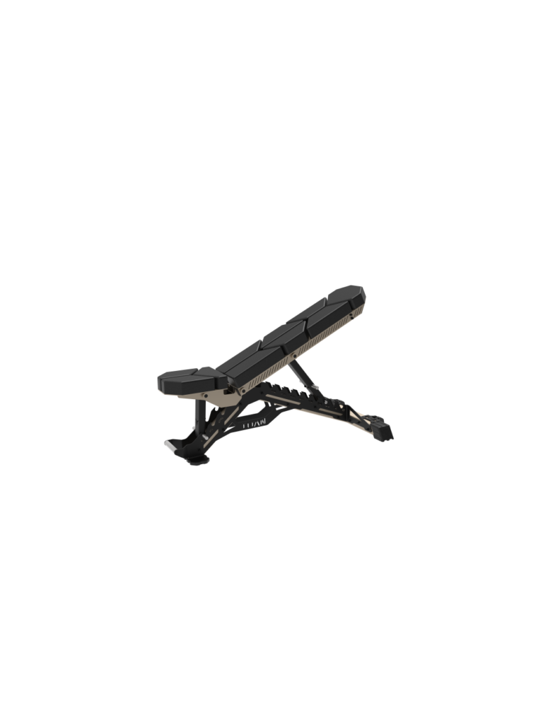Adjustable Bench RAPTOR PRO