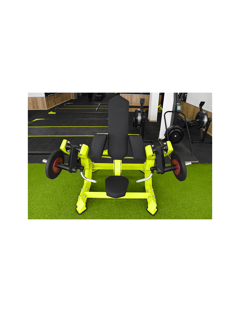 Biceps curl THD – view 3