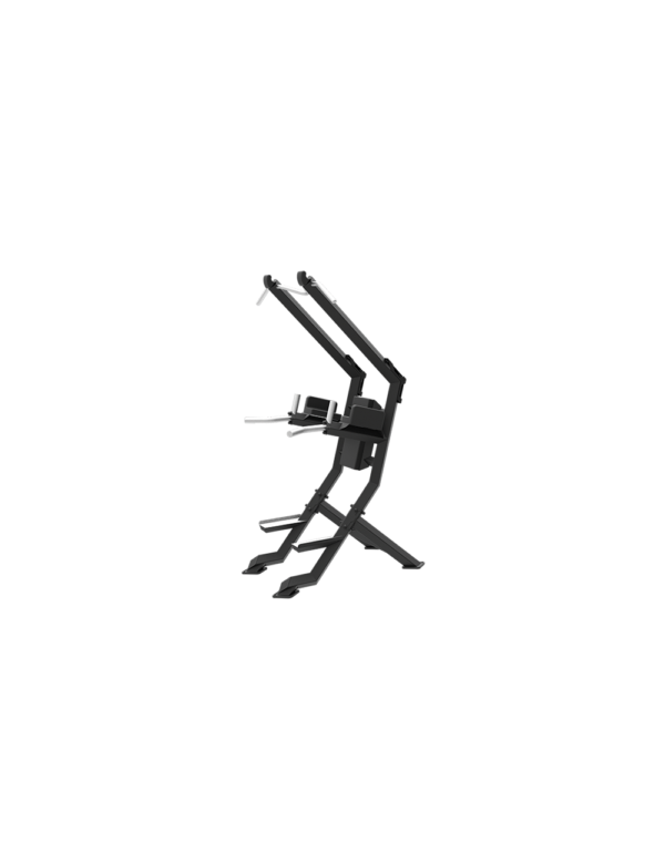 THD Pull-Up & Dip Station